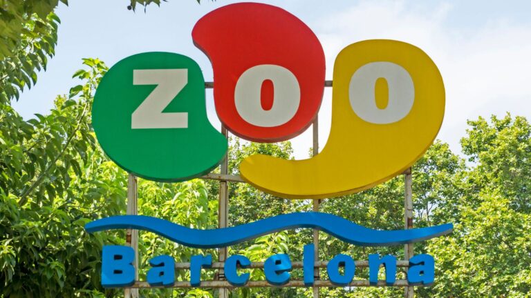 Barcelona zoo